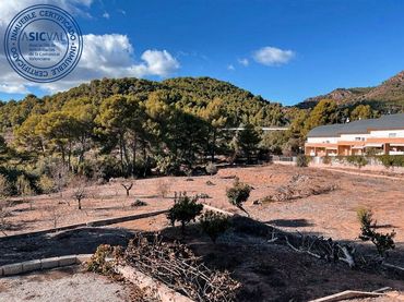 Terreny residencial en venda a Calle CAMINO VIEJO PORTACOELI