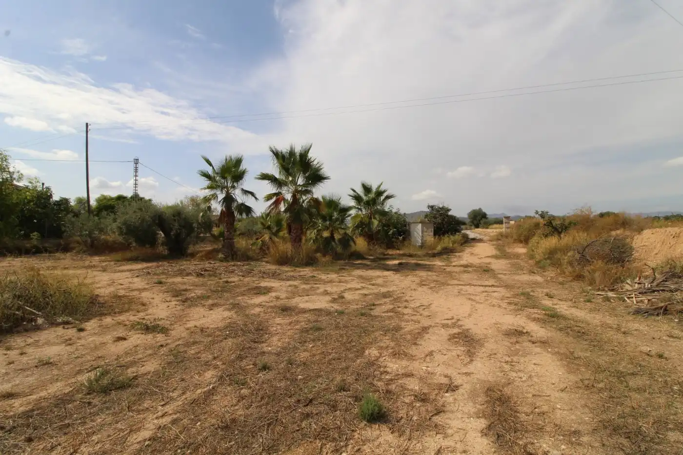 Residential land for sale in Novelda, imagen 6