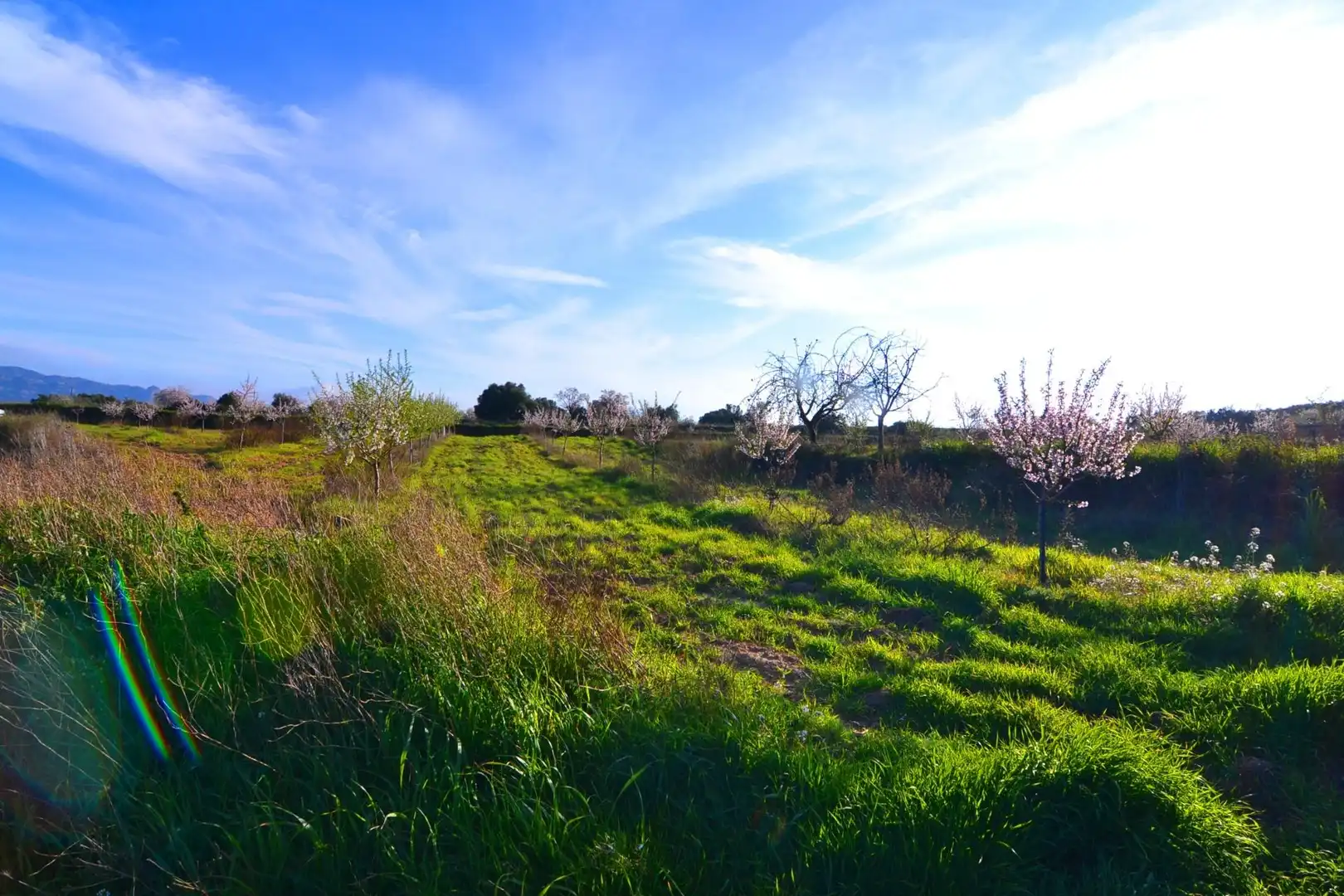 Rural land for sale in Gandesa, imagen 28