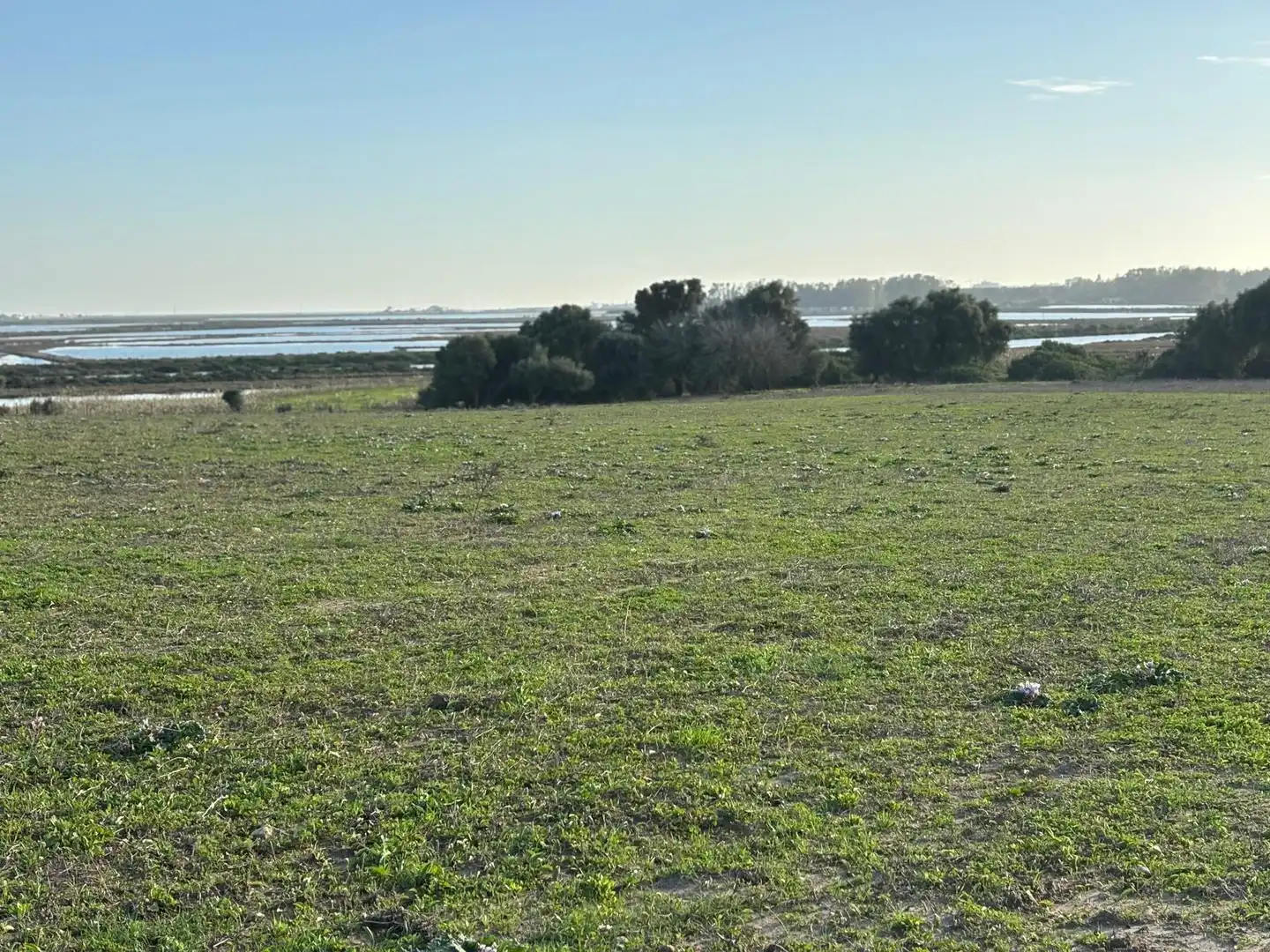 Terreni e lotti in vendita a Vejer, imagen 37