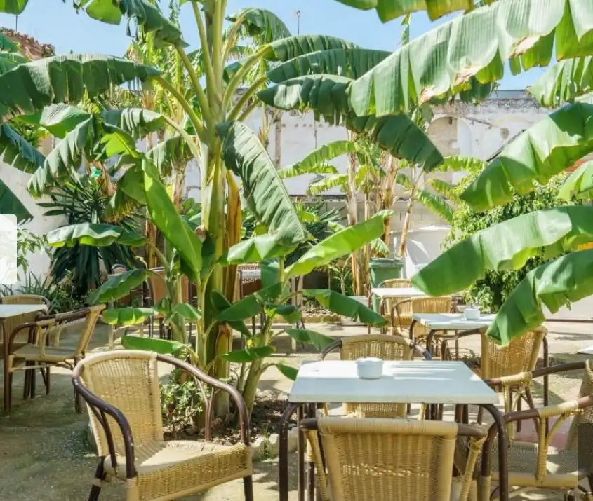 Hotel for sale in Centro, imagen 24