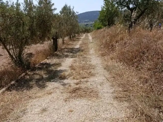 Land for sale in Onil
