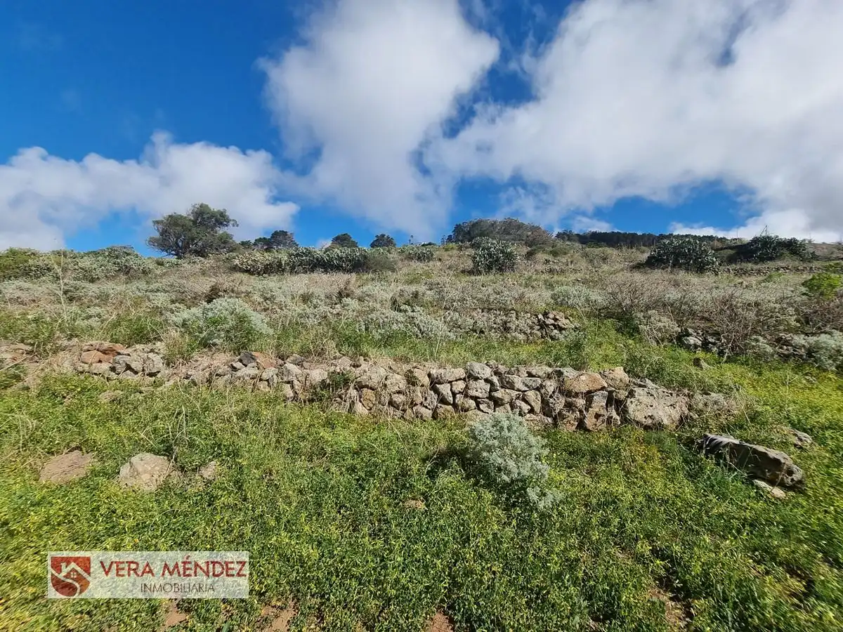 Finca rústica en venta en Tacoronte