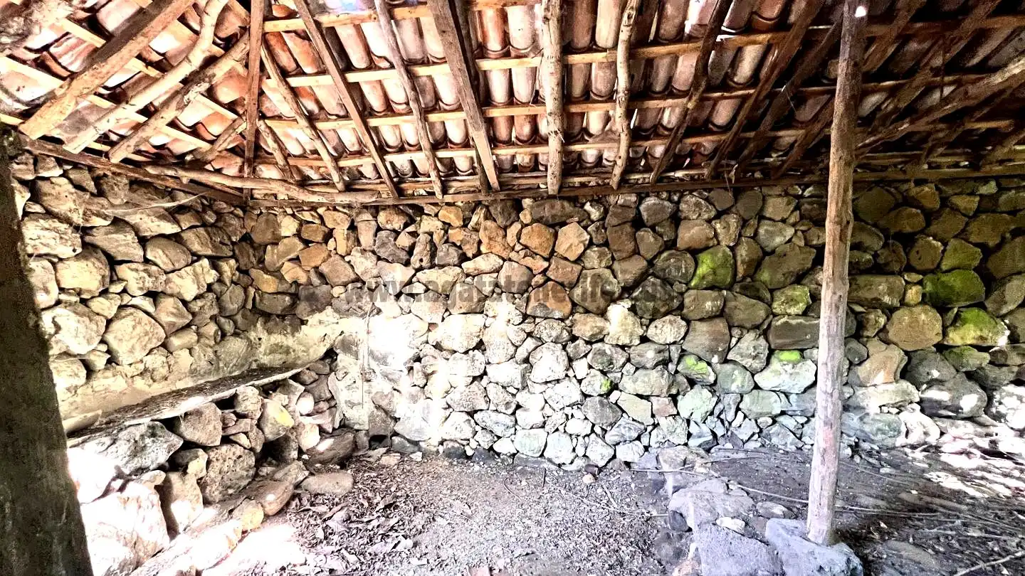 Rural land for sale in La Vega - El Amparo - Cueva del Viento, imagen 3