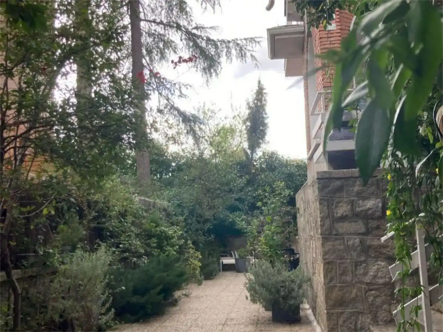 Jardí de Casa o xalet en venda en  Madrid Capital amb Aire condicionat i Balcó