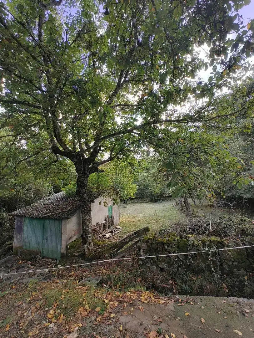 Casa o xalet en venda en Requejo