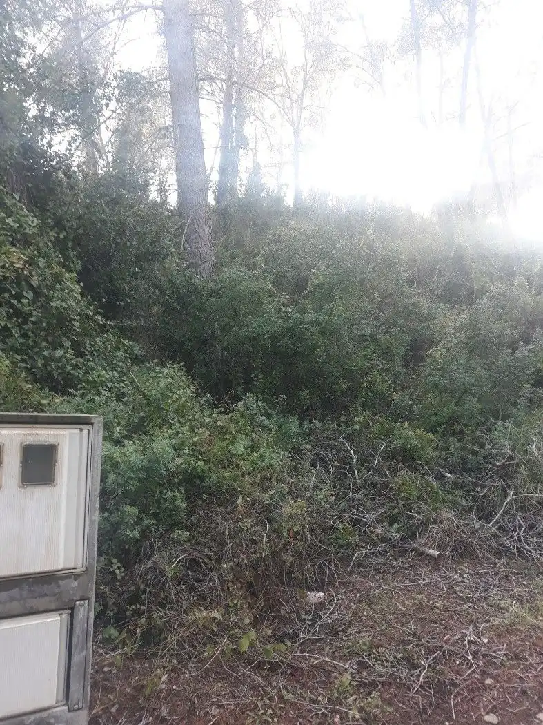 Terreno residenziale in vendita a Carrer el Fonoll 14, imagen 5
