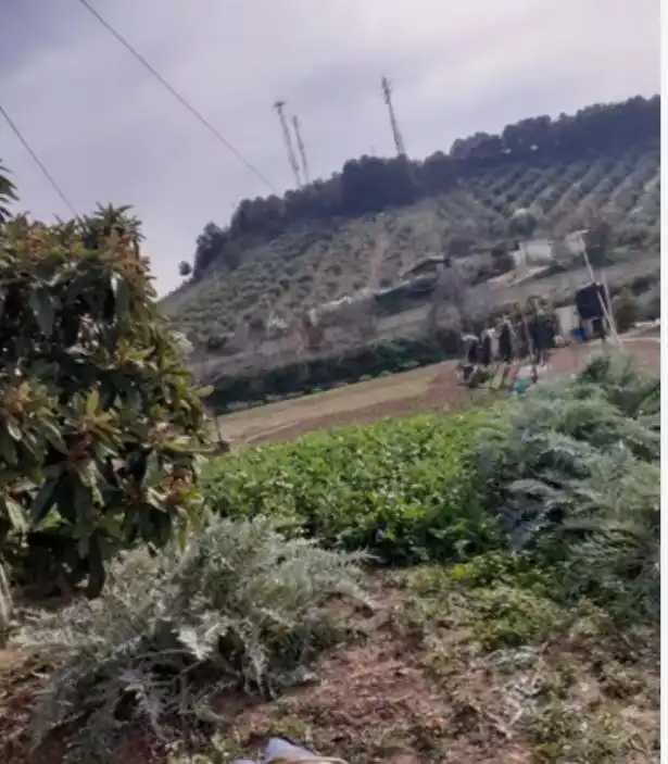 Terreni e lotti in vendita a Alcaudete, imagen 6