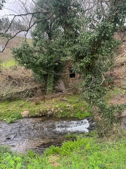 Vista exterior de Finca rústica en venta en Castropol