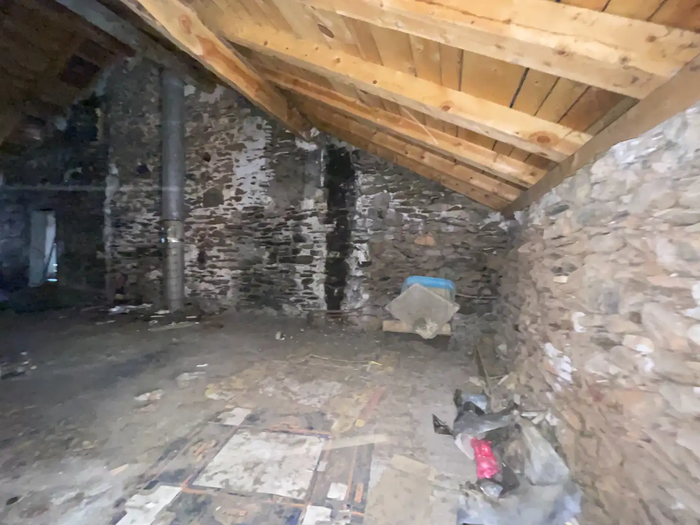 Local en venta en Rialp