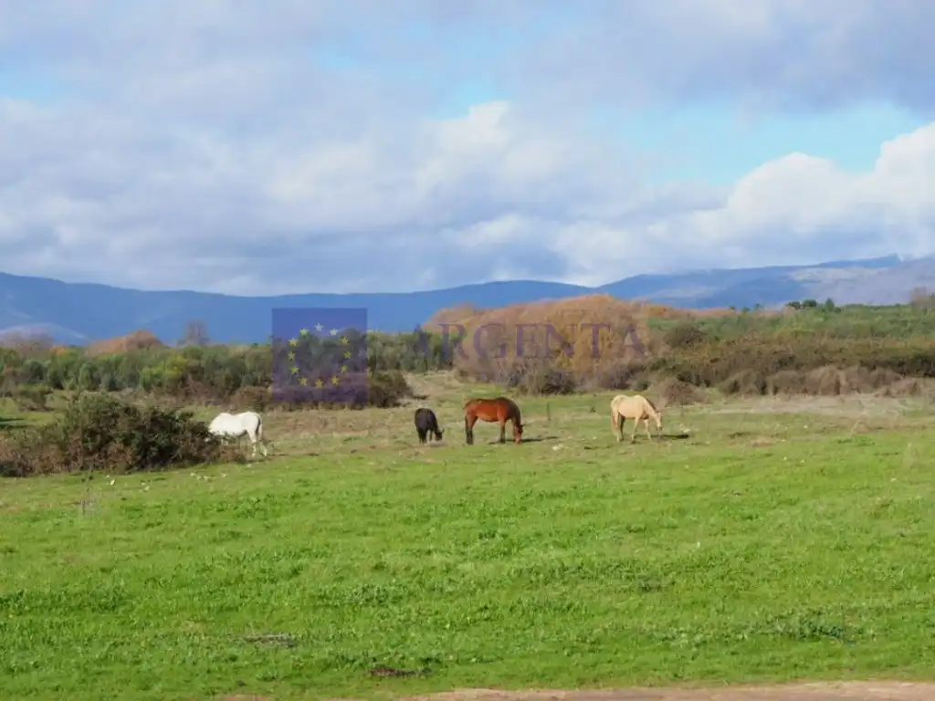 Casa o xalet en venda a Casatejada