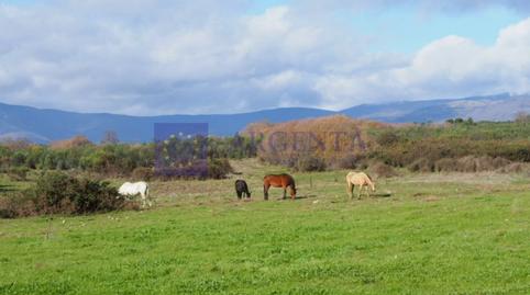 Foto 5 de Casa o xalet en venda a Casatejada, Cáceres