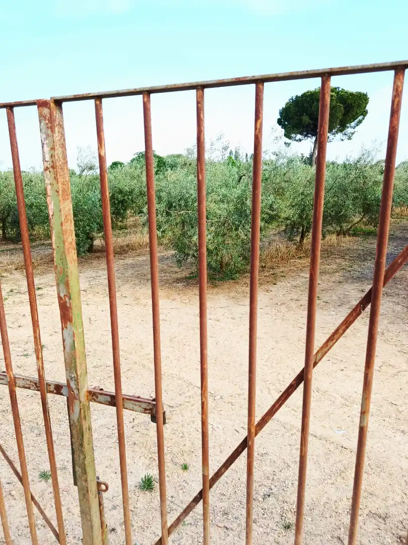 Terreni e lotti in vendita a Villanueva del Ariscal, imagen 4