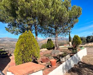 Jardí de Finca rústica en venda en Comares amb Moblat