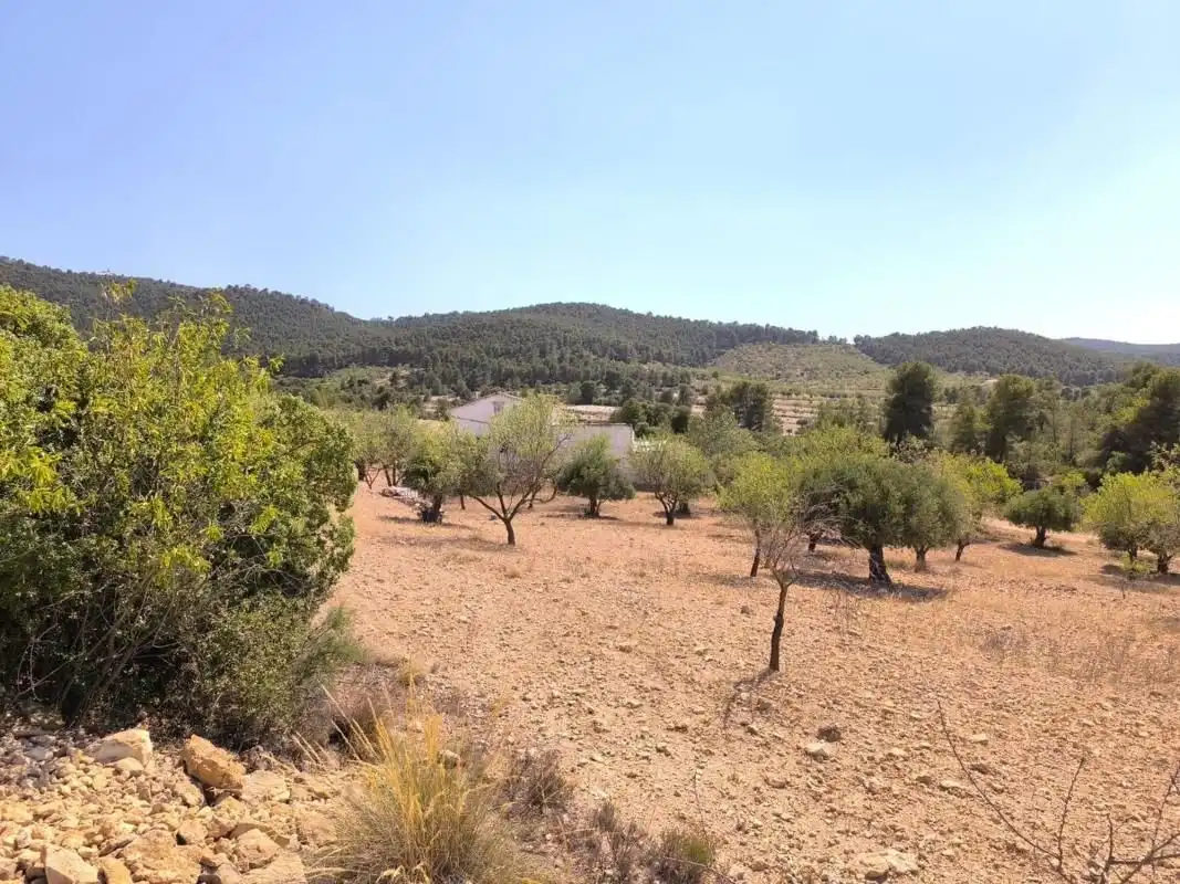 Haus zum Verkauf in Las Virtudes, imagen 5