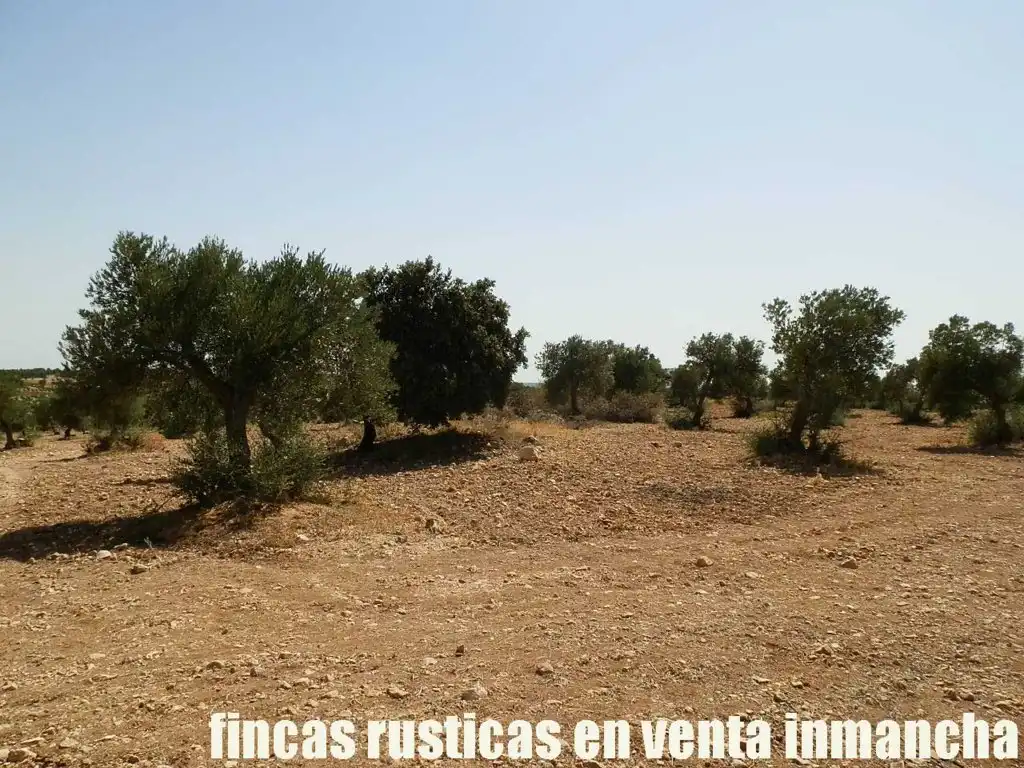 Terreni e lotti in vendita a Mota del Cuervo, imagen 14