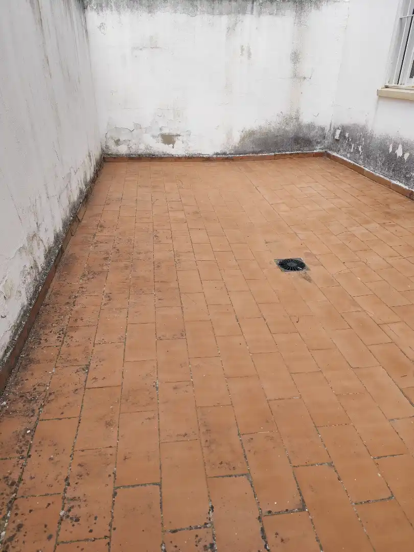 Casa adosada en venta en Mérida con Amueblado