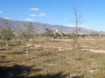 Terreni e lotti in vendita a El Ejido Ciudad