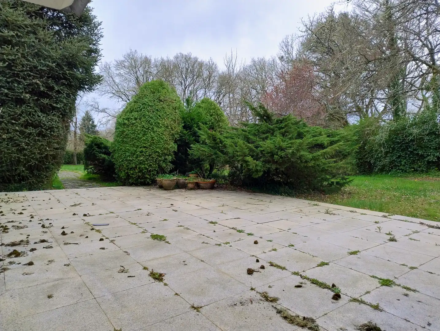 Jardín de Casa o chalet en venta en Lugo con Amueblado
