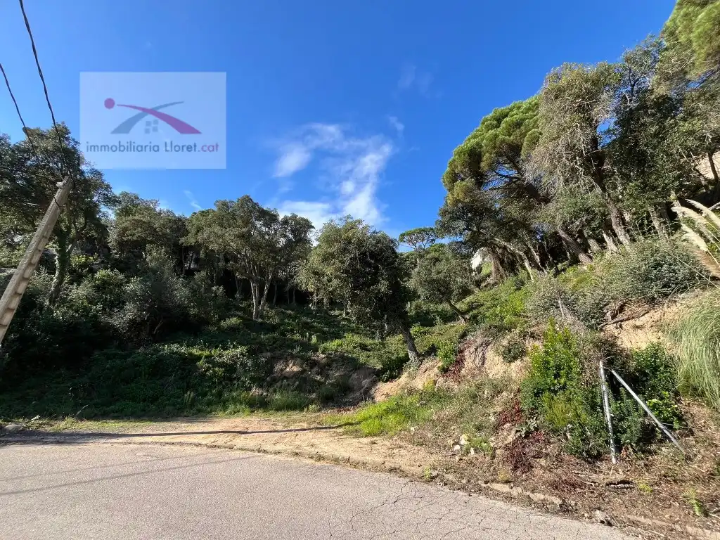 Terreno residencial en venta en Serra Brava, imagen 5