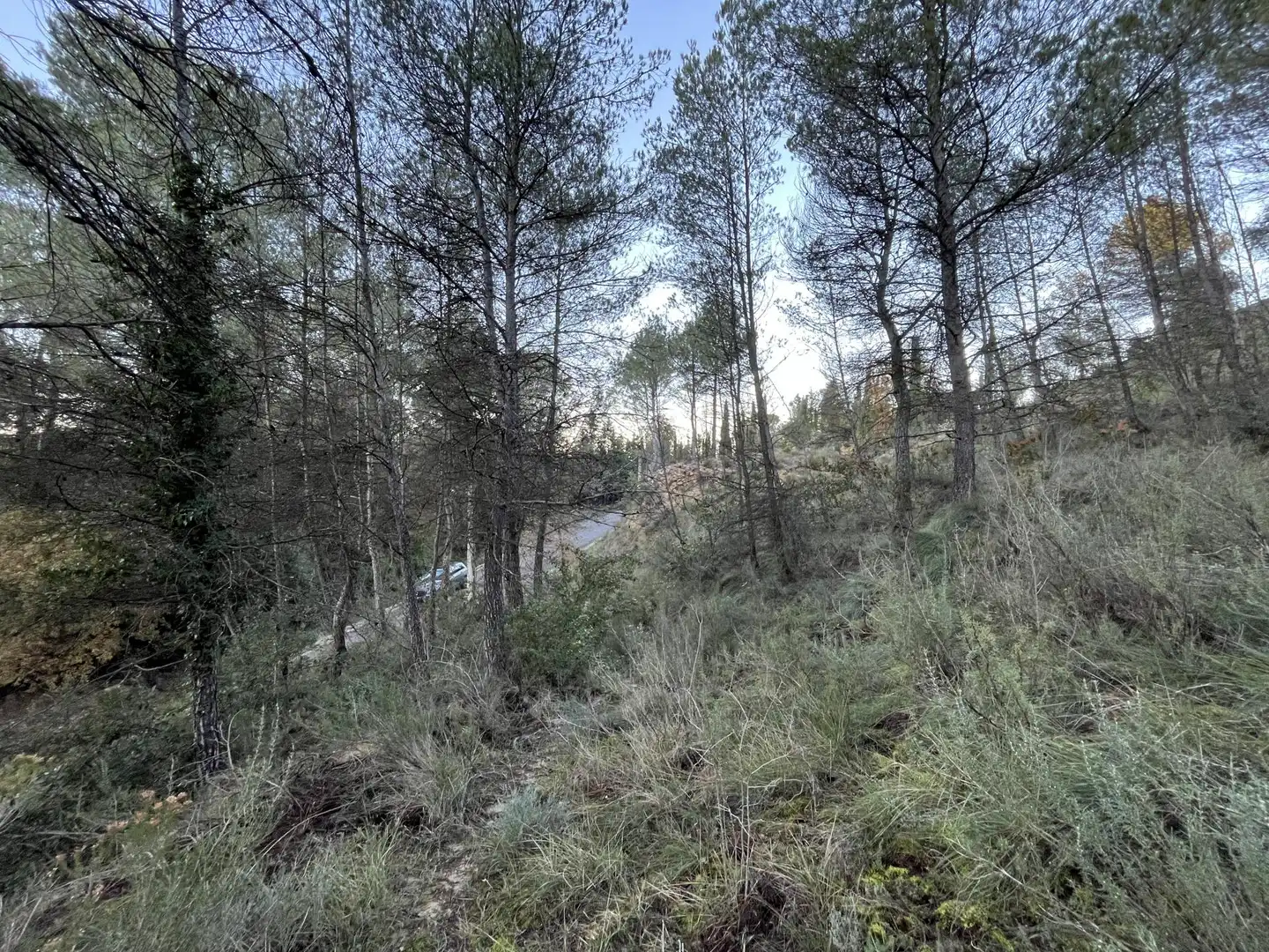 Wohnbaugrundstück zum Verkauf in de Can Prat 61, imagen 12