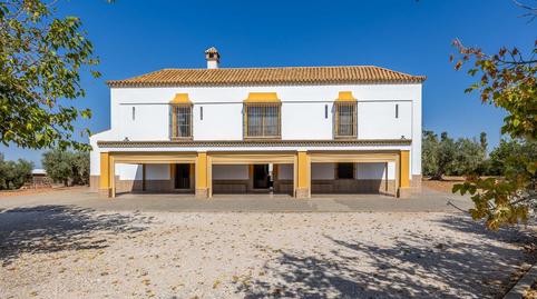 Foto 5 de Finca rústica en venda a Carretera Diseminados 2, Carmona, Sevilla