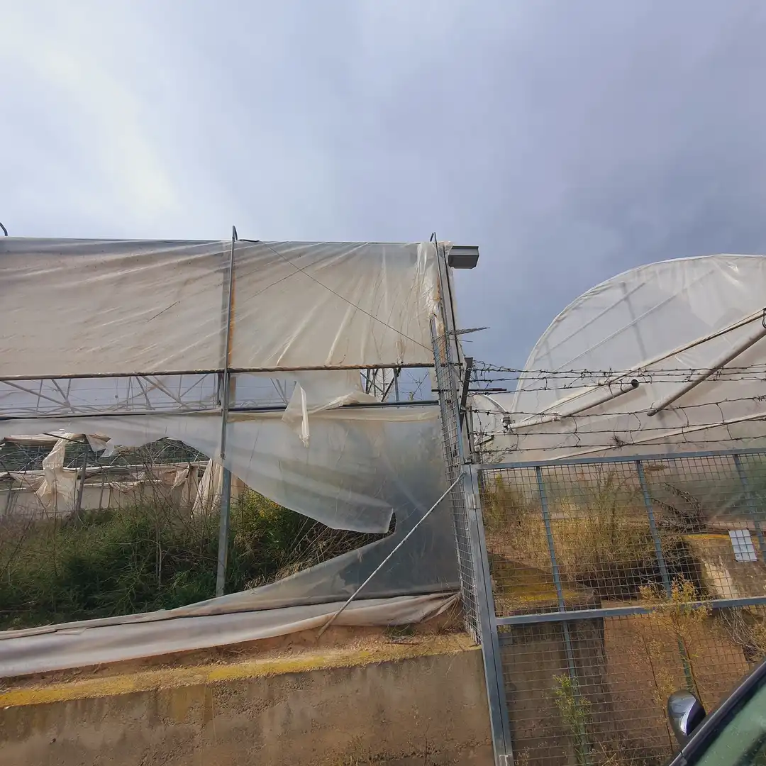 Rustikales Grundstück zum Verkauf in El Pinell de Brai, imagen 31