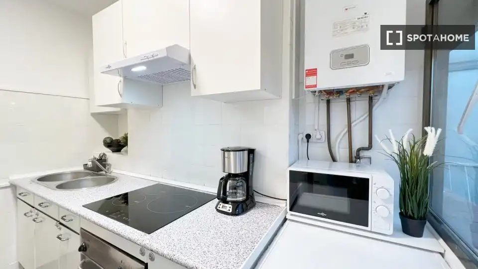 Kitchen of Flat for rent in Madrid  with Air Conditioner, Heating and Furnished