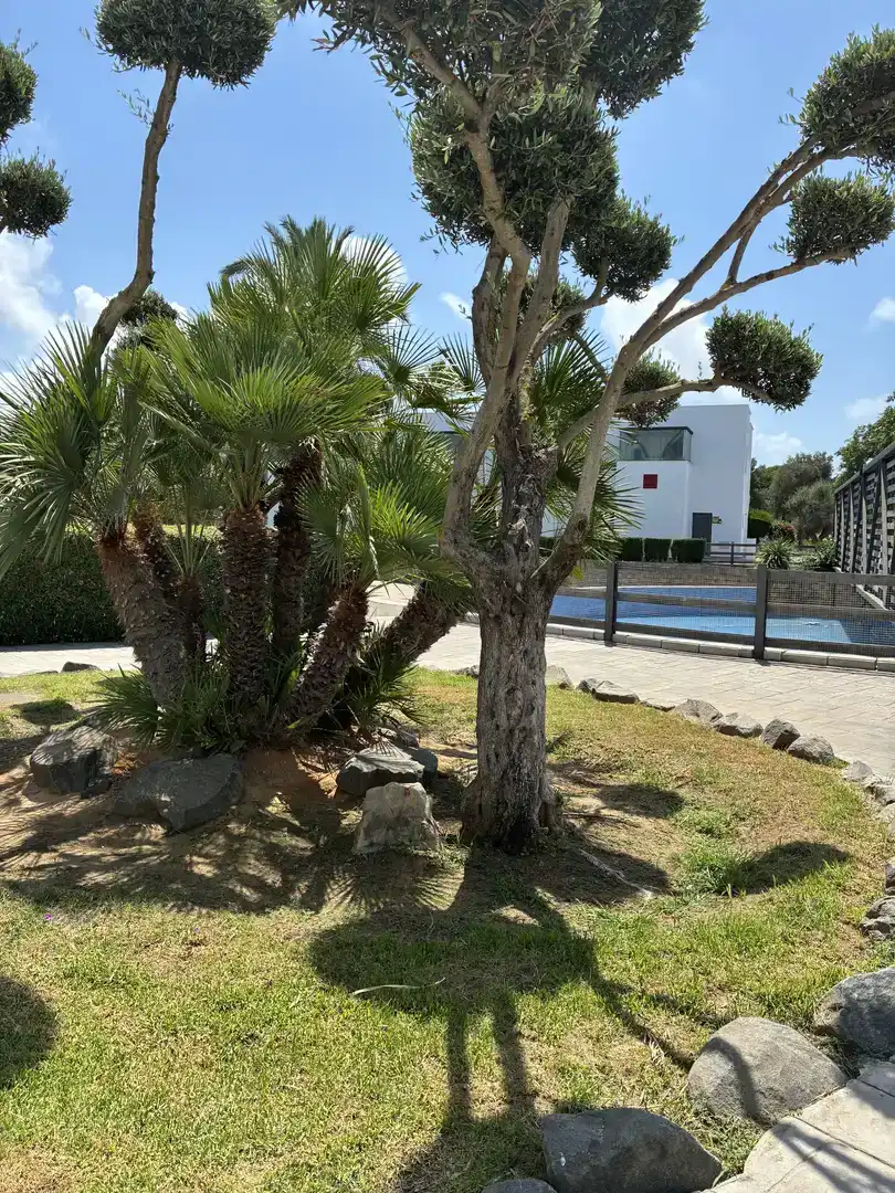 Vista exterior de Dúplex de alquiler en Rota con Aire acondicionado, Jardín privado y Piscina