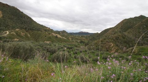 Photo 5 of Residential for sale in Algezares, Murcia Capital