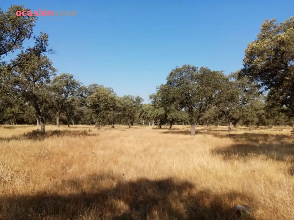 Country homes for sale in Torrecampo