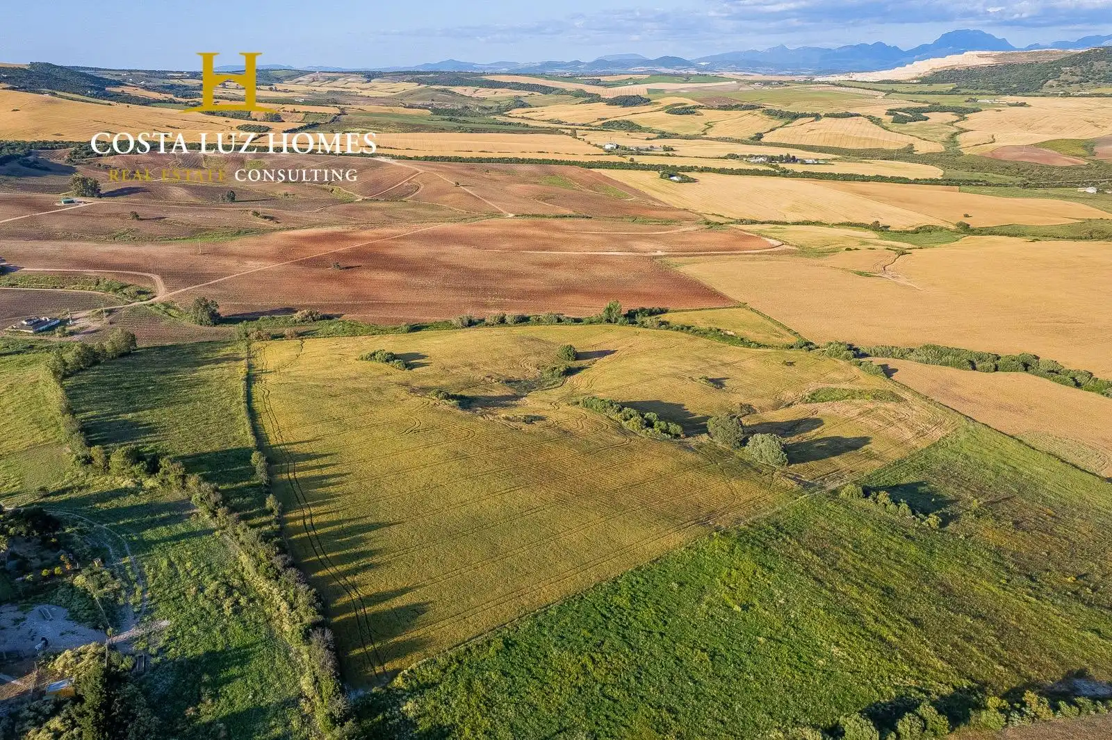 Terreny rústic en venda a Arcos de la Frontera, imagen 2