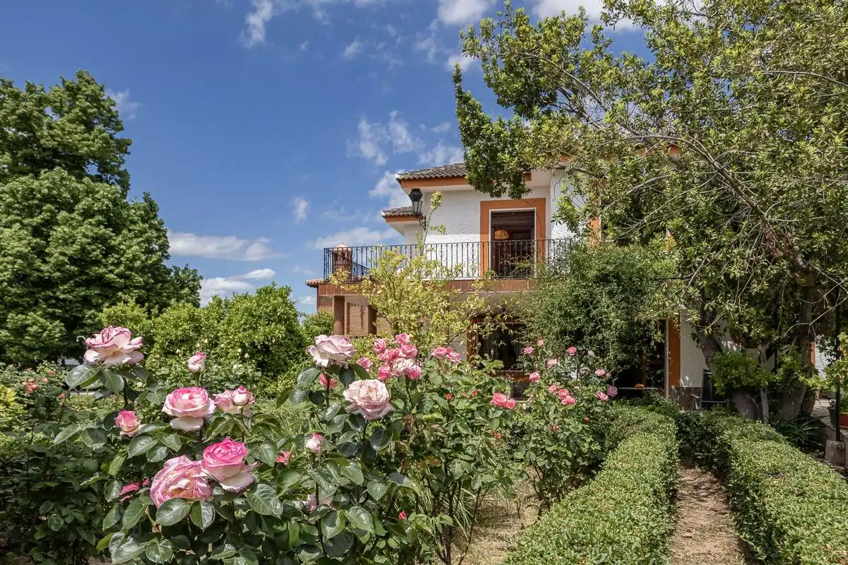 Chalet con piscina en venta en Calle Albaricoque, imagen 33