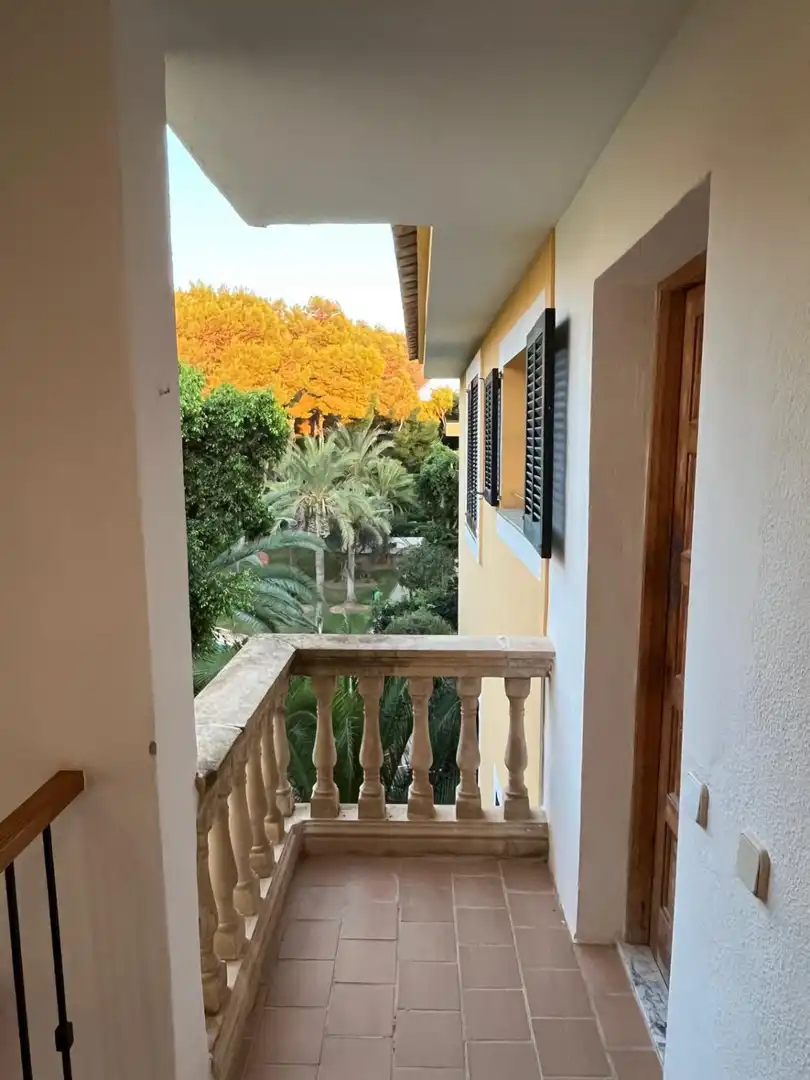 Penthouse with pool to rent in Santa Ponça, imagen 9