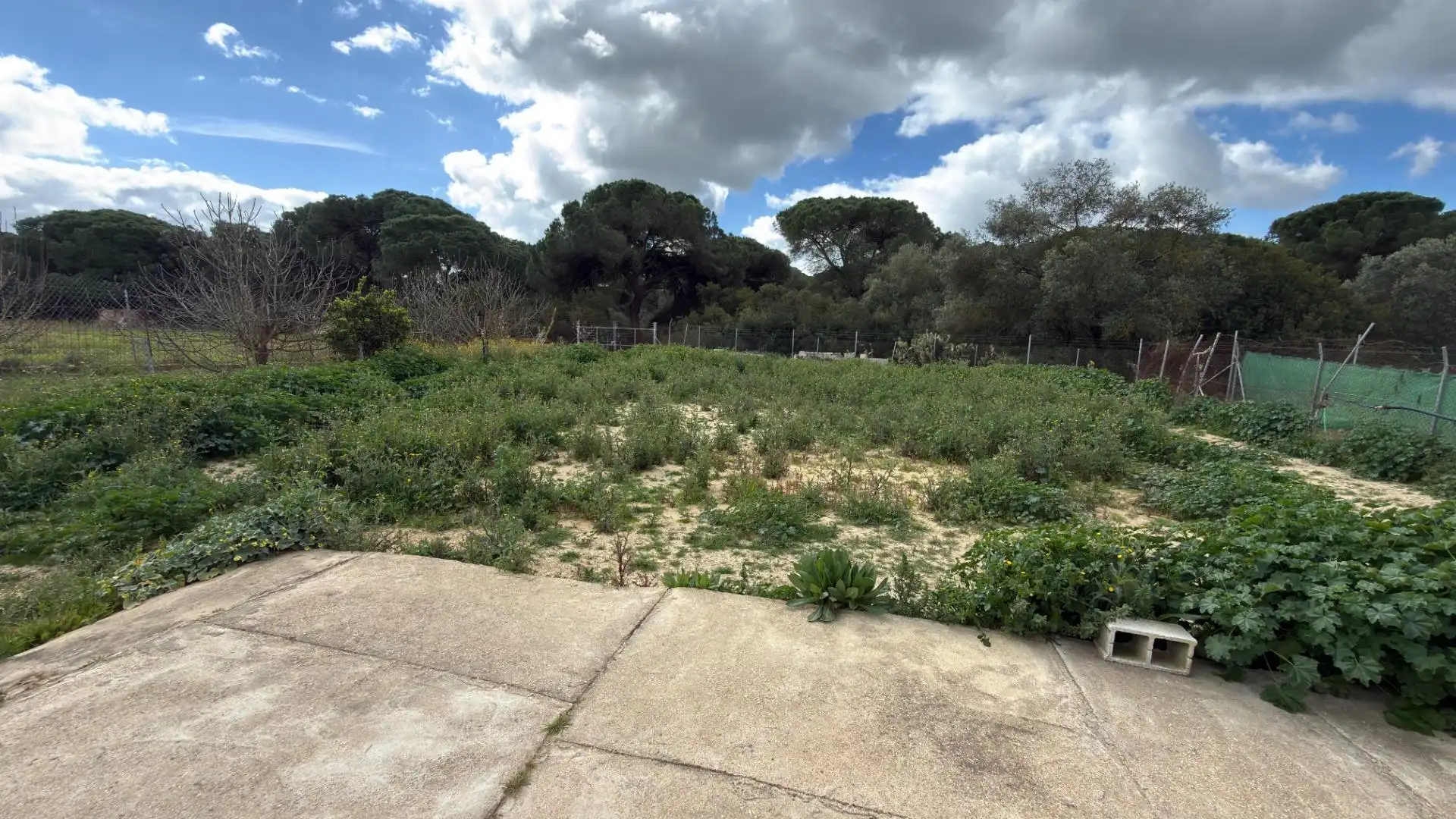 Finca rústica en venta en Punta Umbría