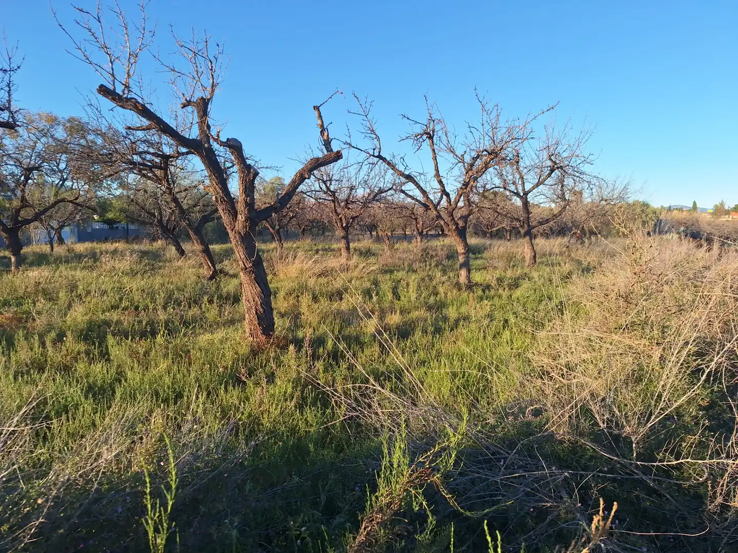 Terreny en venda en San Vicente del Raspeig / Sant Vicent del Raspeig