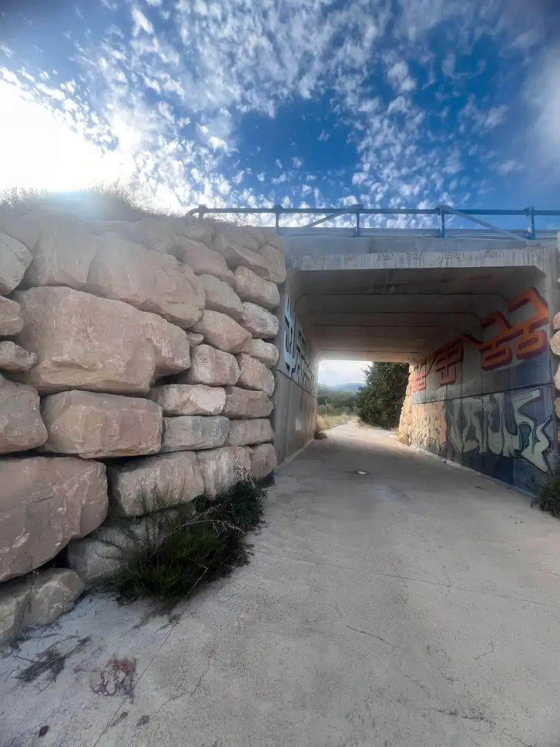 Terreno rustico in vendita a Almoster, imagen 16