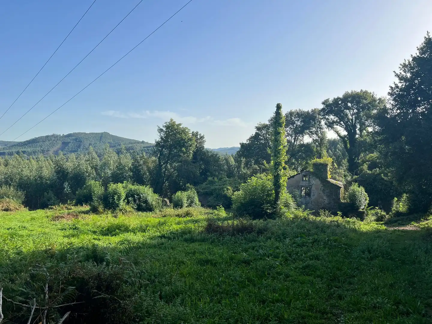 Haus mit Garten zum Verkauf in Moeche, imagen 44