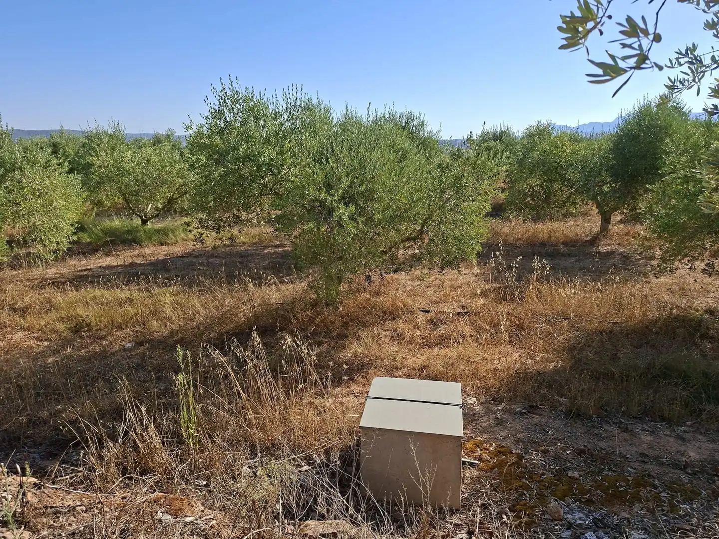 Terreno rustico in vendita a Diseminado Diseminats 6, imagen 17