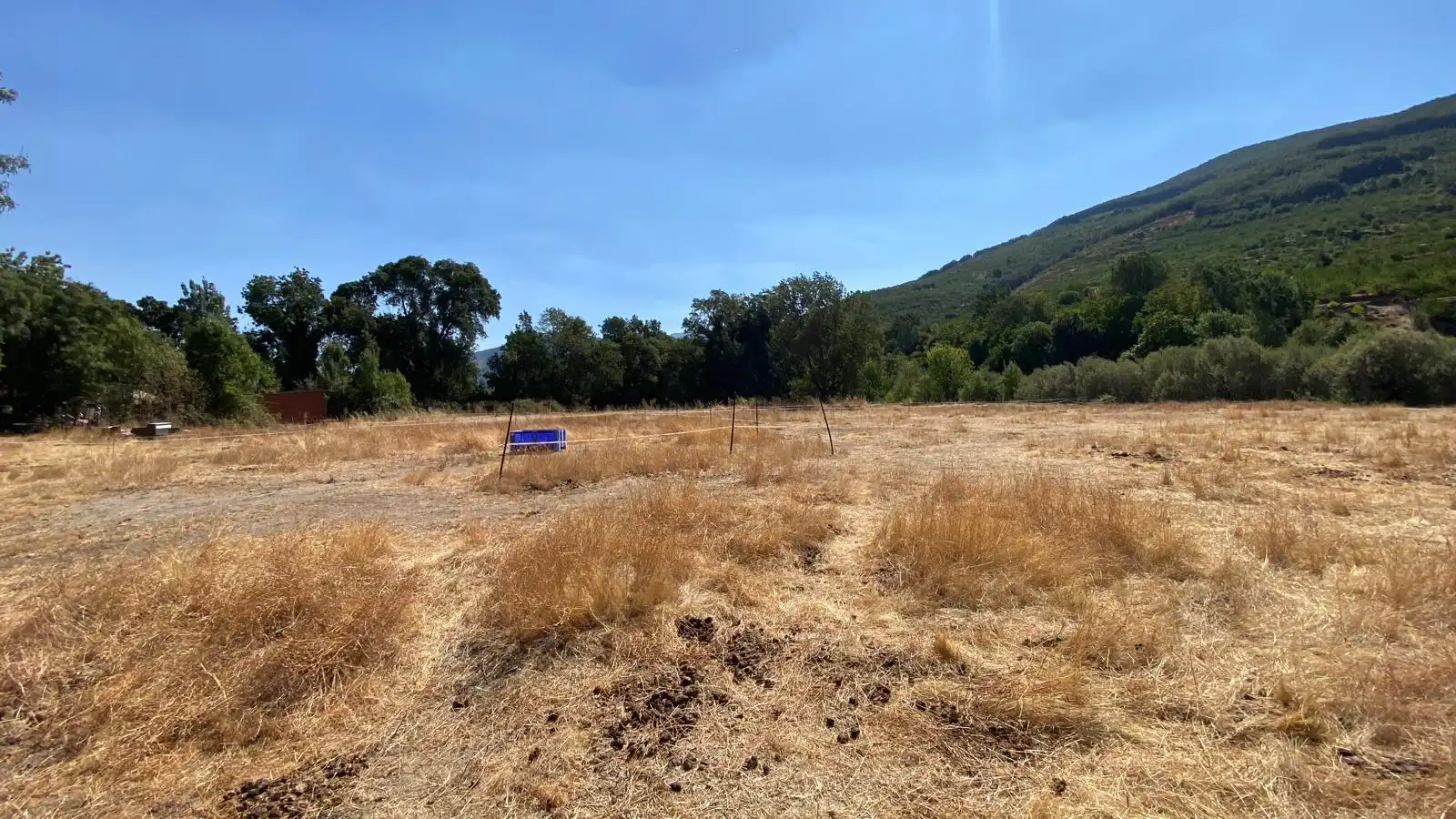 Rural land for sale in Calle el Roble 4, imagen 12