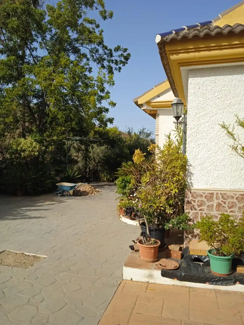 Xalet amb jardí en venda a Calle Sócrates 22, imagen 21