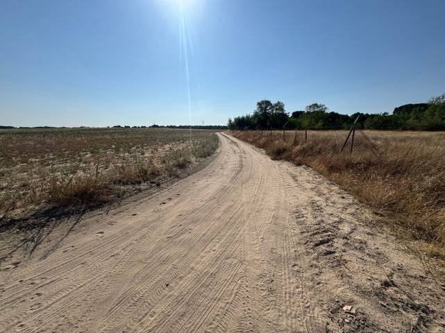 Terreno en Venta en Camino del Serrano en Viana de Cega