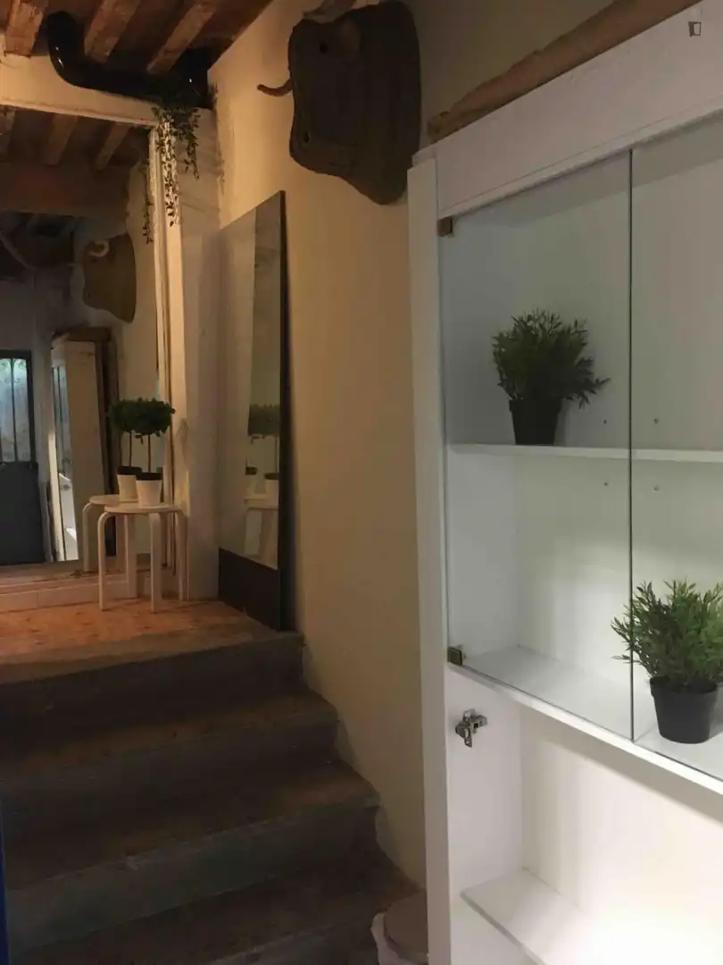 Studio à louer à Centro, imagen 20