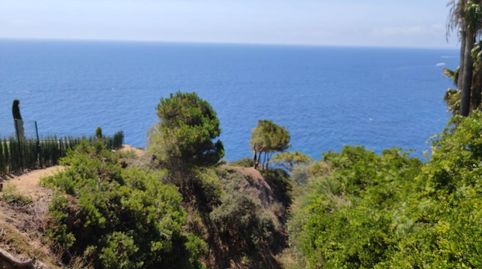 Foto 3 de Residencial en venta en Calle Tortuga, 21, Montgoda, Lloret de Mar