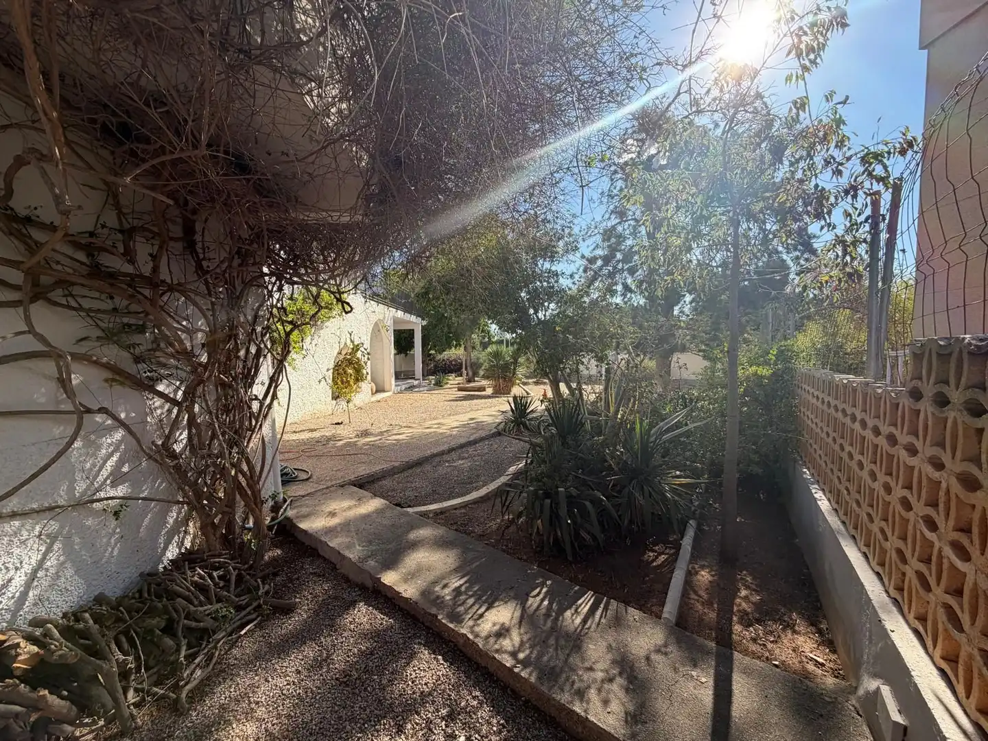 Vista exterior de Casa o xalet en venda en El Ejido amb Aire condicionat, Jardí privat i Traster