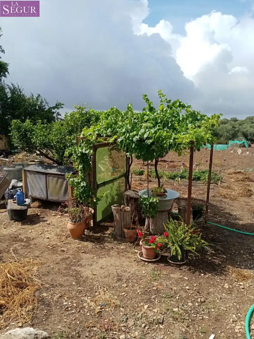 Maison rustique à vendre à Vejer, imagen 41