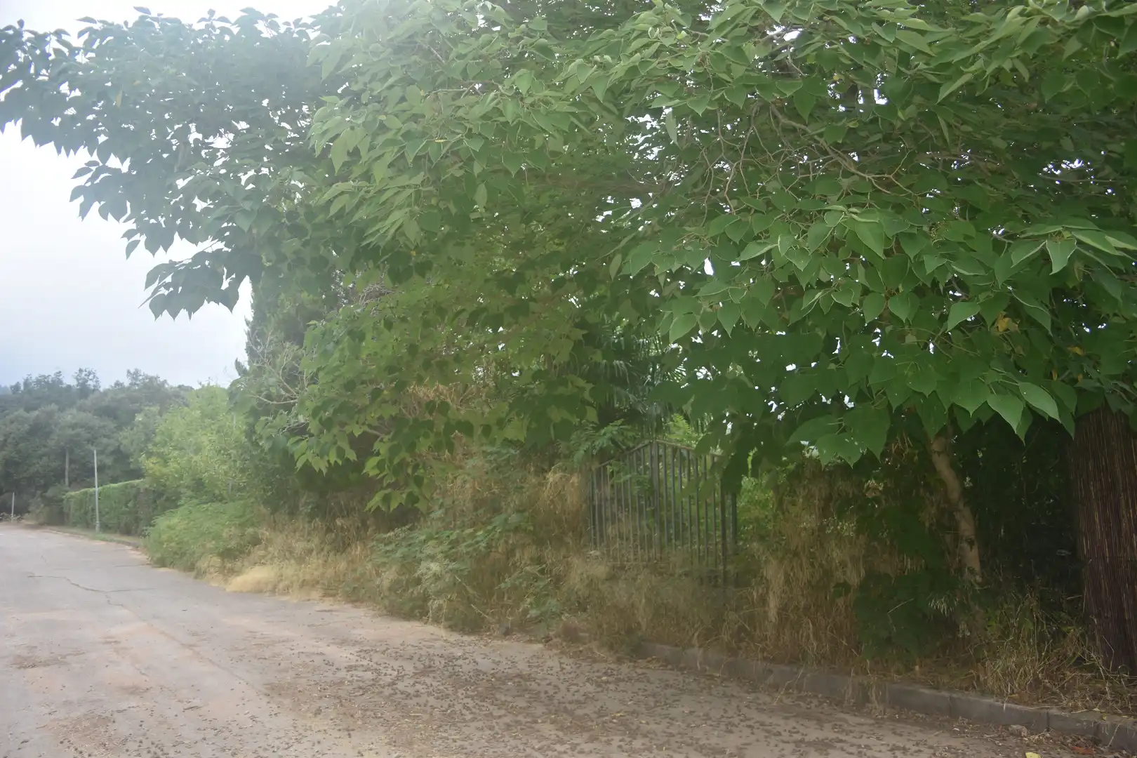 Residential for sale in Arbúcies