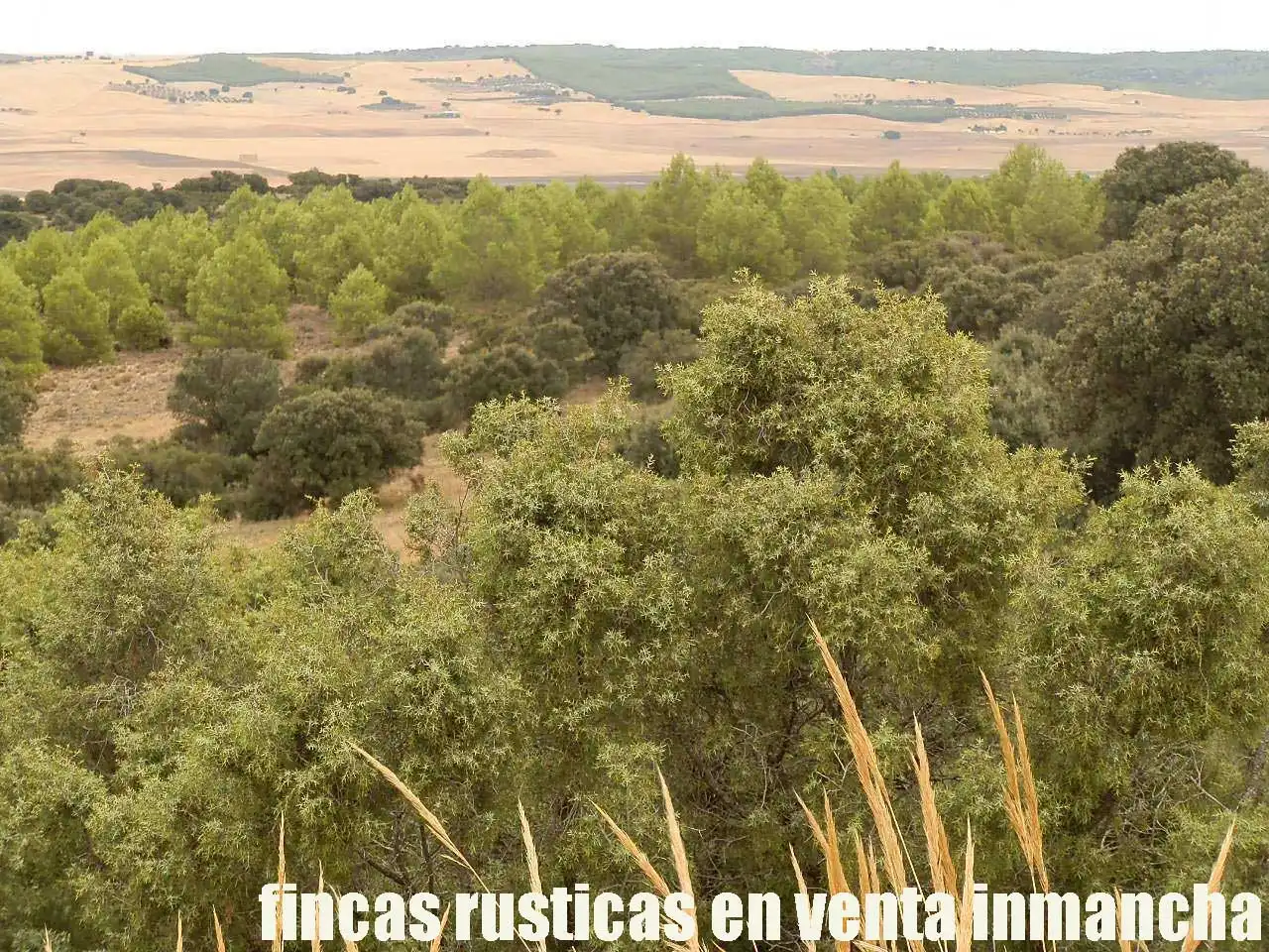 Terreni e lotti in vendita a Belmonte, imagen 8