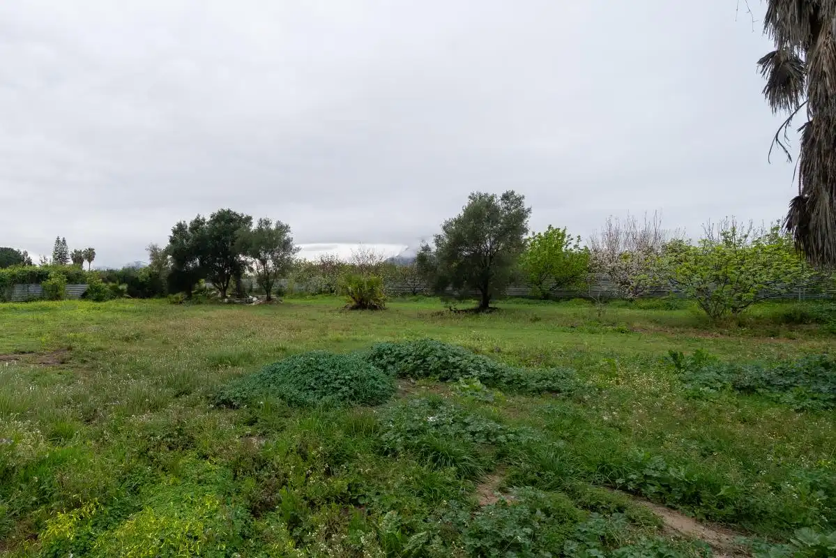 Finca rústica en venta en Orihuela con Calefacción y Amueblado