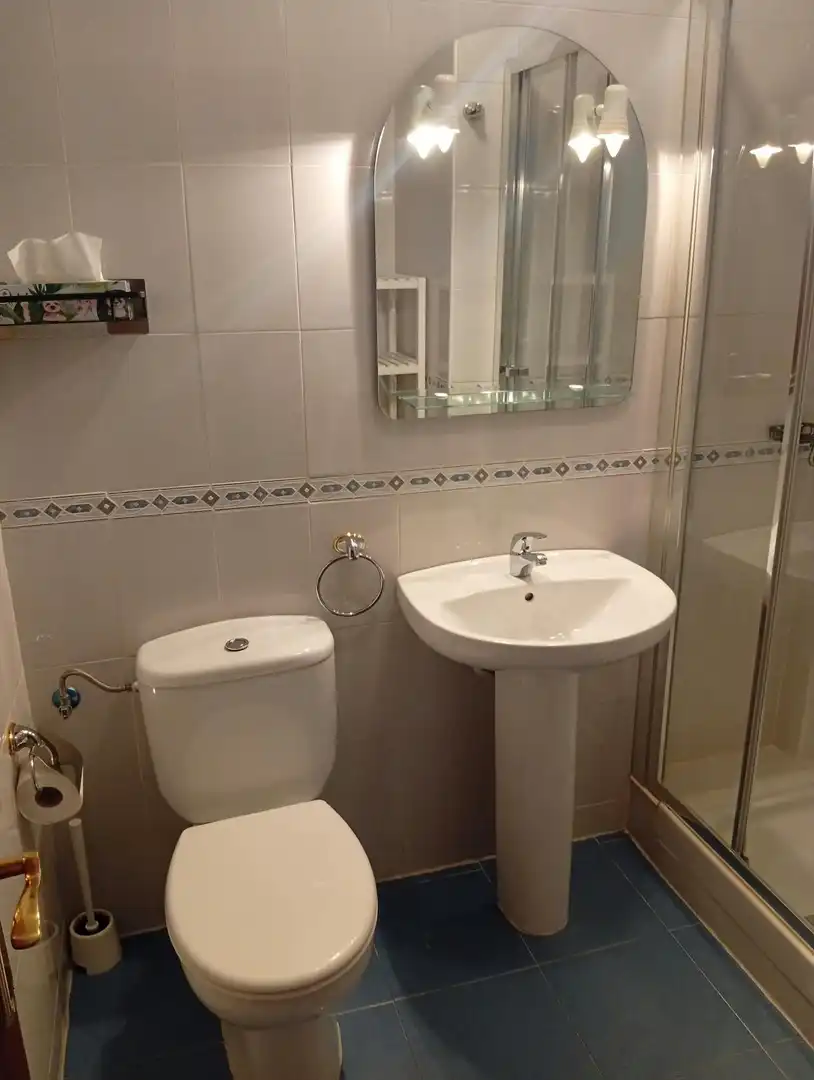 Bathroom of Flat for rent in Centro